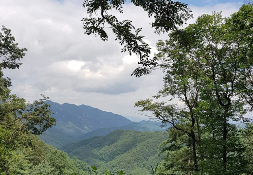물깨말 구구리길