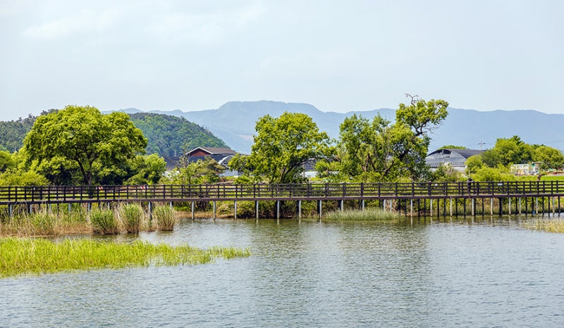 의암호 위 스카이워크와 물빛